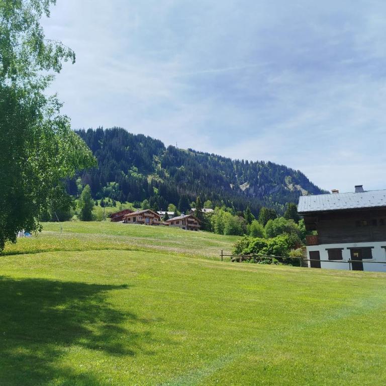 Studio pieds des pistes Rochebrune - Studio - 9