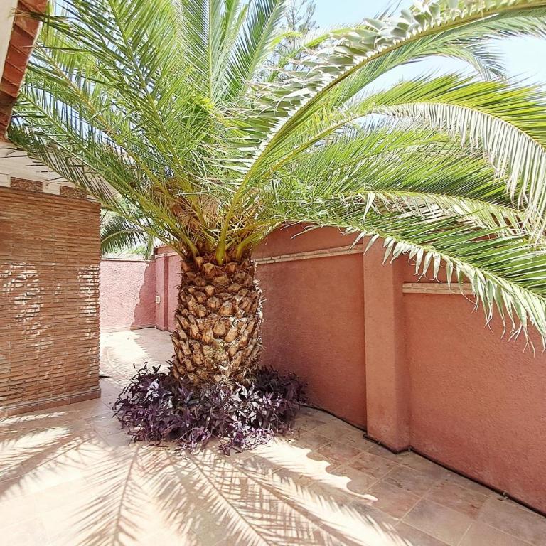 6 Bedroom Villa with Private Pool Games Room - Villa con piscina privada - 57