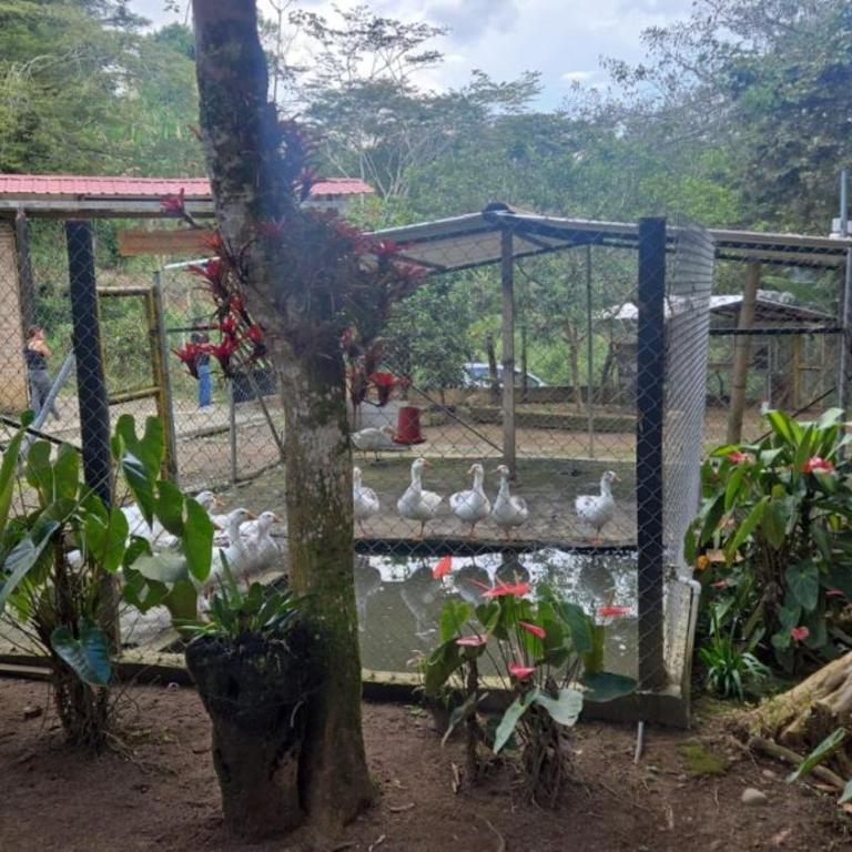 Tu Escapada Ideal con Río Privado - Casa de 3 dormitorios - 5