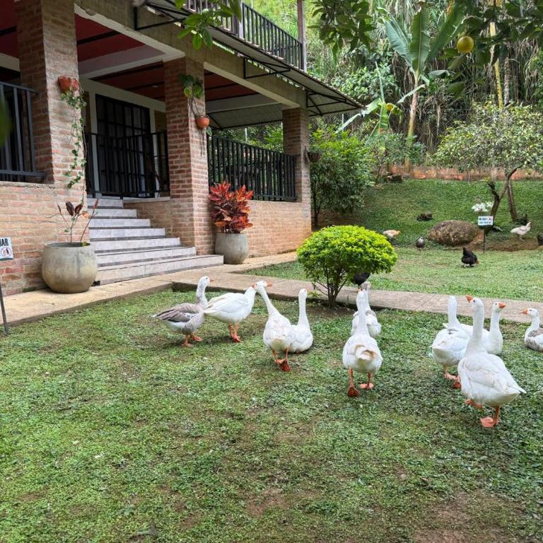 Tu Escapada Ideal con Río Privado - Casa de 3 dormitorios - 26