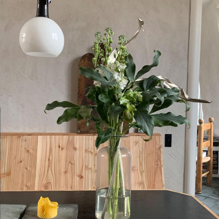 Designer Marais Sanctuary Yann Le Coadic Design - Appartement - 11