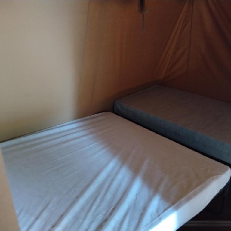 Camping 4 étoiles Les Amiaux - Tente bungalow équipée 23m2 - Piscines - 900m plage - Sezonia - Tente - 10
