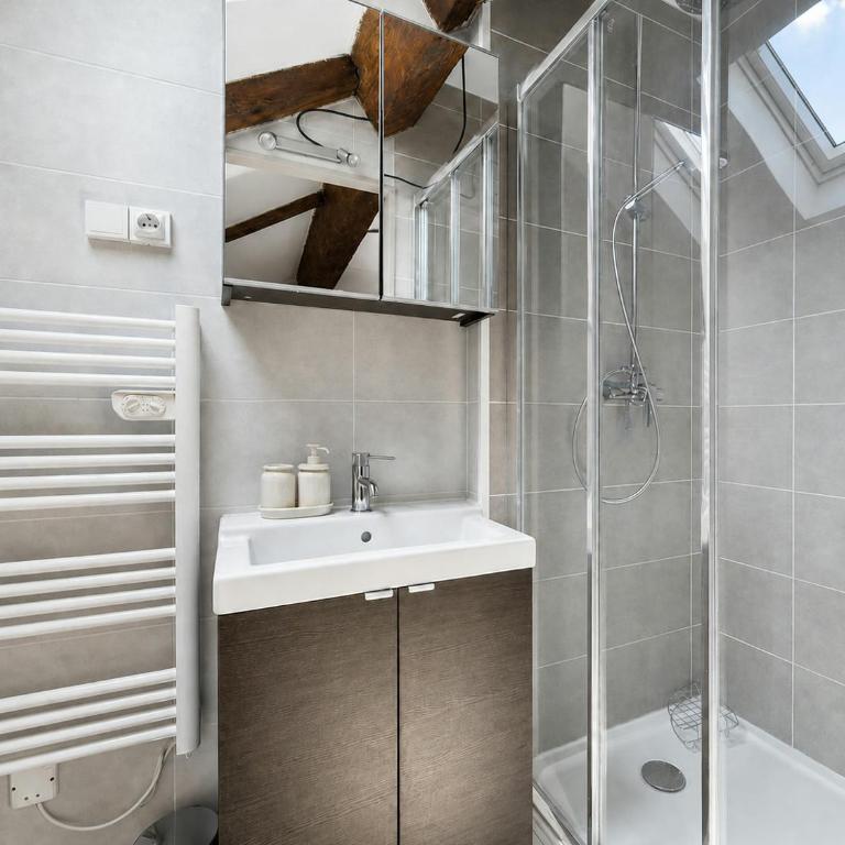 Chambéry centre-ville T2 lumineux, vue montagne - One-Bedroom Apartment - 15
