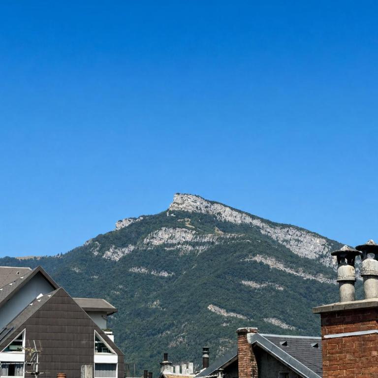 Chambéry centre-ville T2 lumineux, vue montagne - One-Bedroom Apartment - 16
