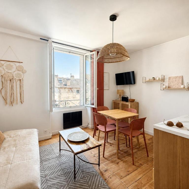 Chambéry centre-ville T2 lumineux, vue montagne - One-Bedroom Apartment - 10