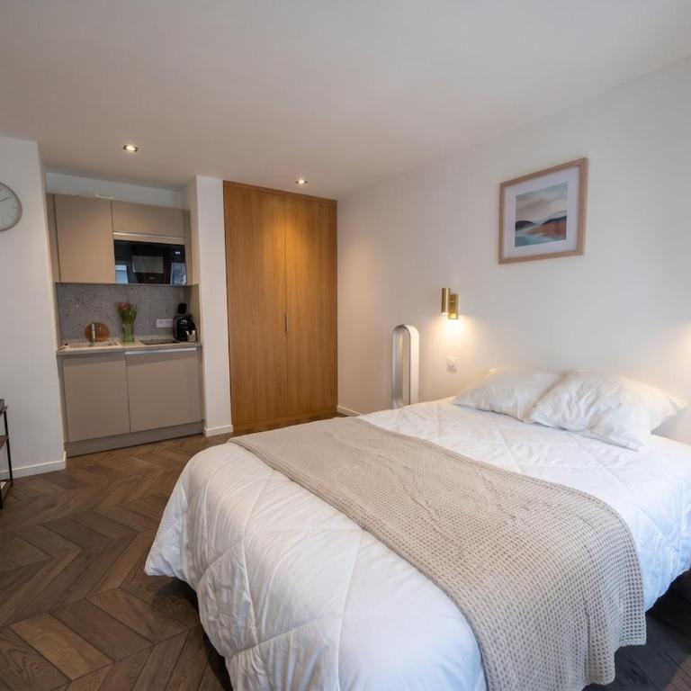 Studio Premium - Cœur Historique Mulhouse - Apartamento de 1 dormitorio - 2