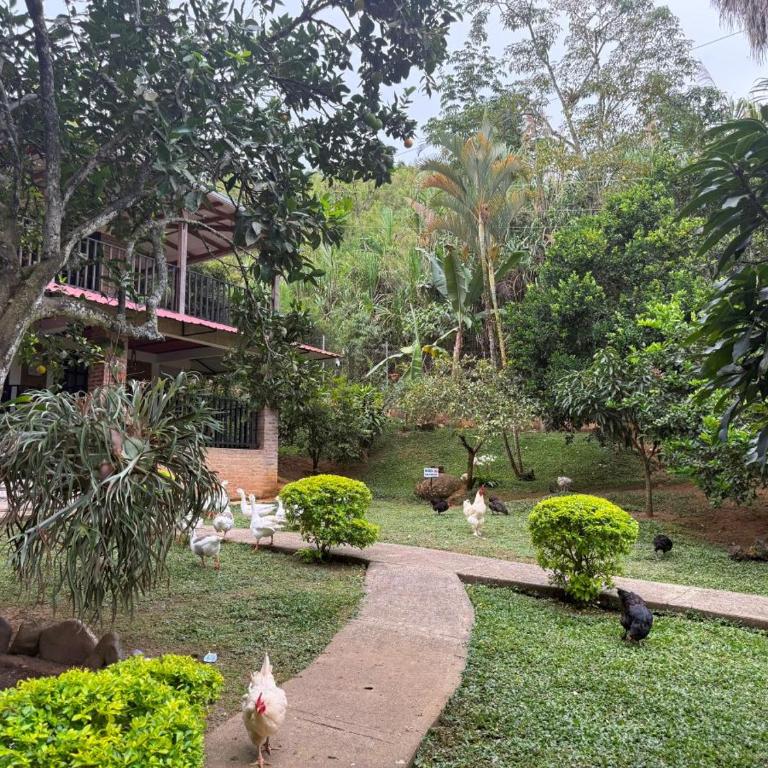 Tu Escapada Ideal con Río Privado - Casa de 3 dormitorios - 32