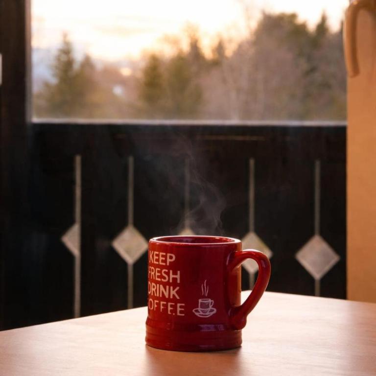 Cozy studio in Combloux - Mountain view - Appartement 1 Chambre - 6