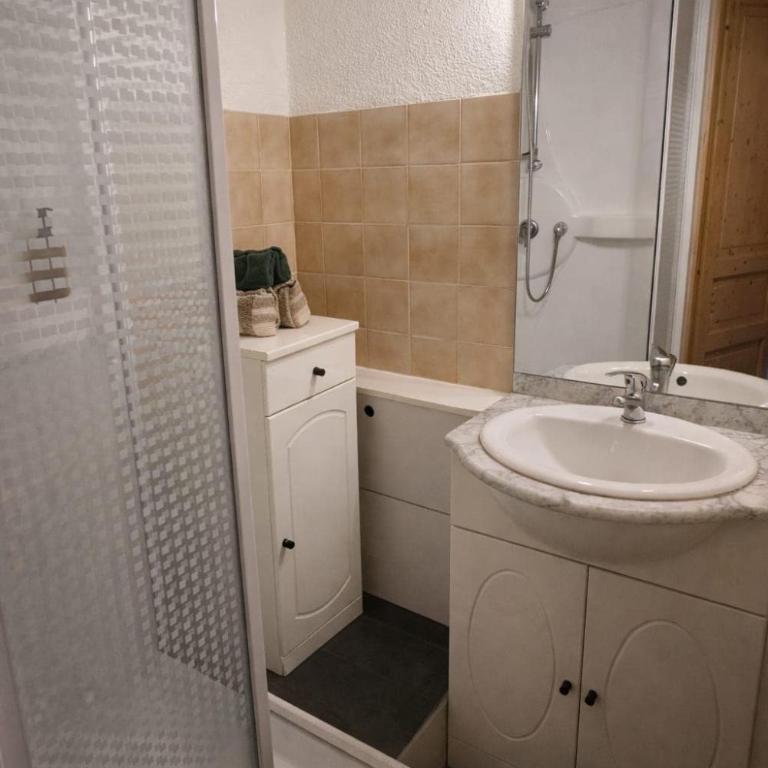 Cozy studio in Combloux - Mountain view - Appartement 1 Chambre - 10