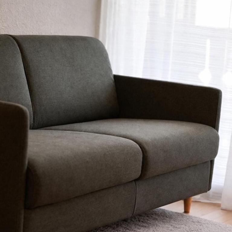 Cozy studio in Combloux - Mountain view - Appartement 1 Chambre - 11