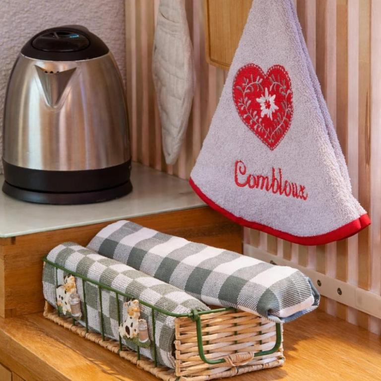 Cozy studio in Combloux - Mountain view - Appartement 1 Chambre - 15