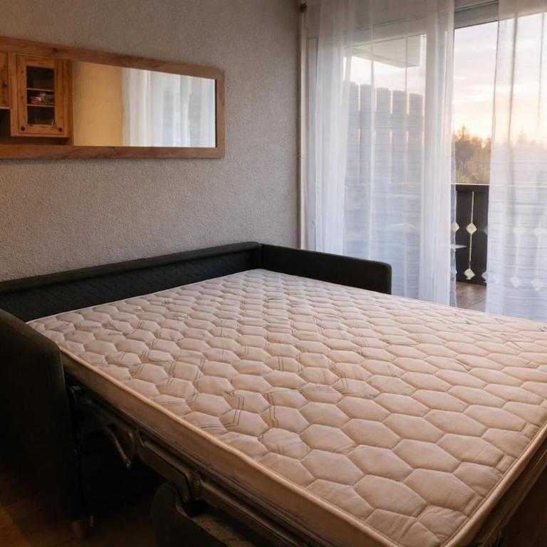 Cozy studio in Combloux - Mountain view - Appartement 1 Chambre - 17