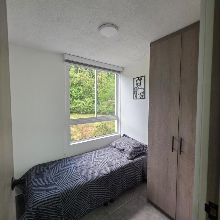 Nuevo! Confort! WiFi Veloz! Ubicación! - Apartamento de 3 dormitorios - 14