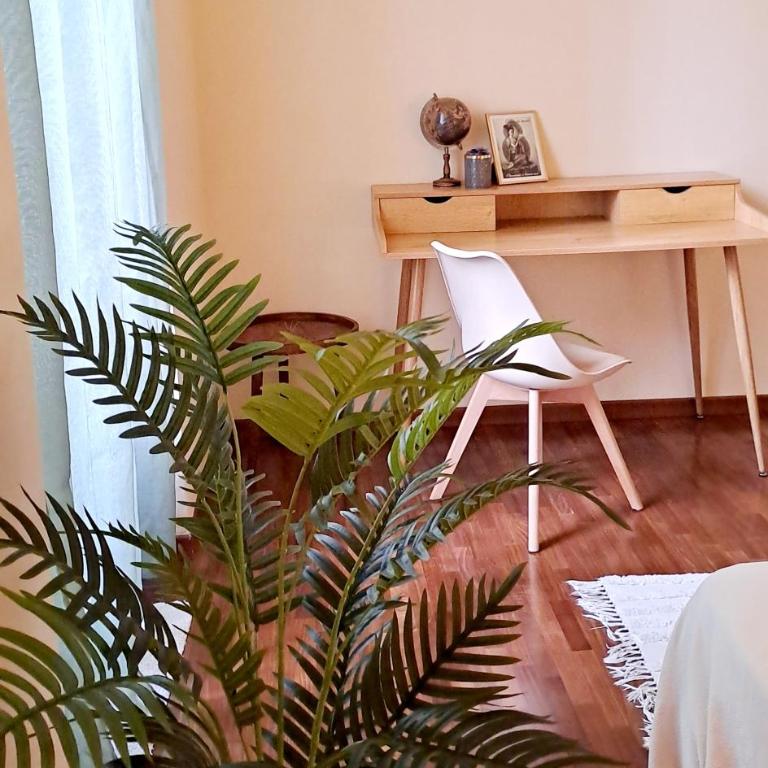 Clara Bedda - Apartment - 23