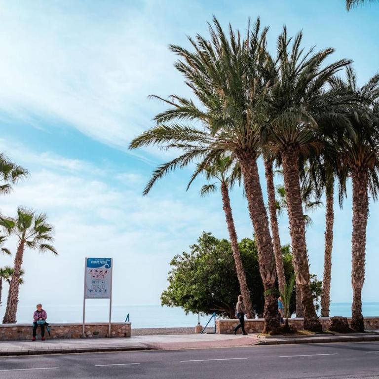 Apartamento con vistas al mar- Costa Tropical Almuñécar - Apartamento con vistas al mar - 42