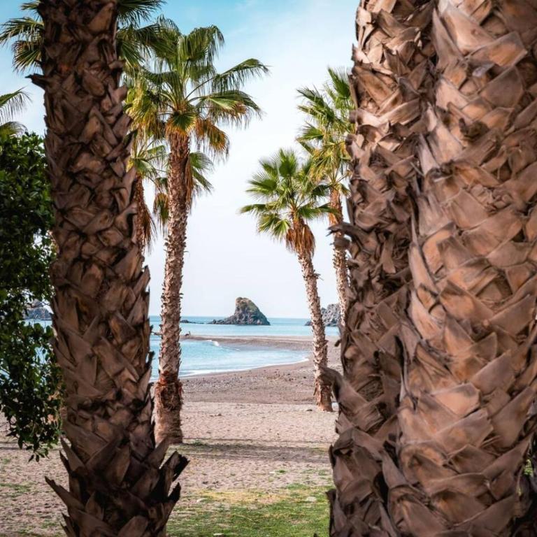 Apartamento con vistas al mar- Costa Tropical Almuñécar - Apartamento con vistas al mar - 47