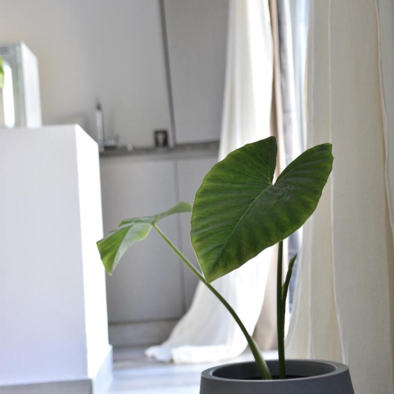 La ola - Apartamento Deluxe de 2 dormitorios con balcón - 14