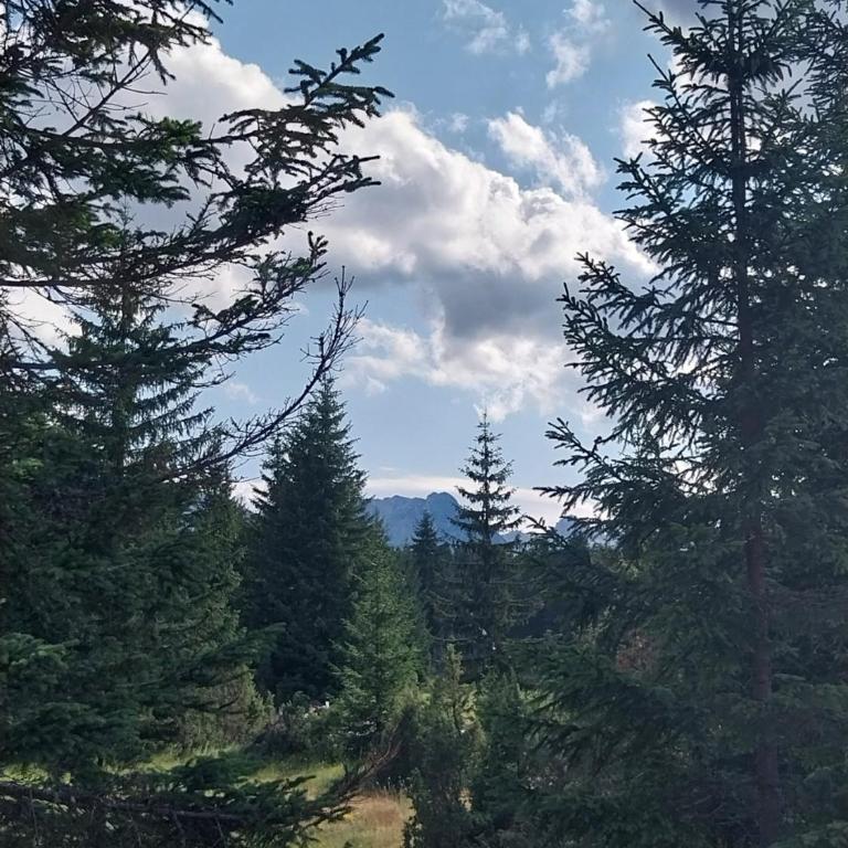 The Mountain Nook - Brvnara sa 1 Spavaćom Sobom - 12