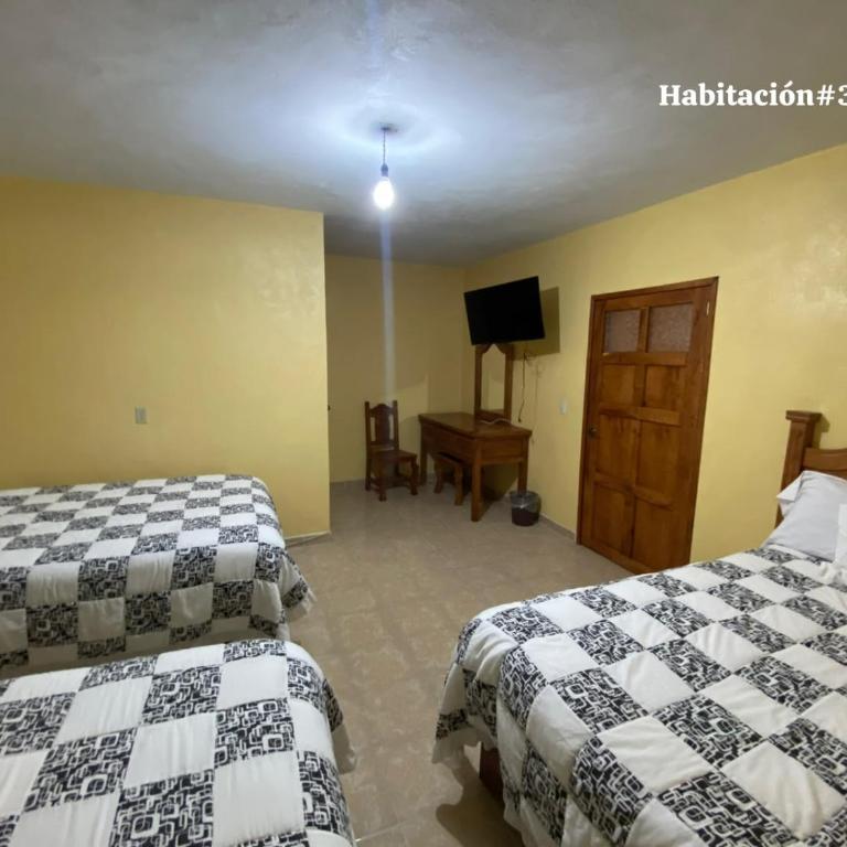 Hotel planetario - Family Room - 2