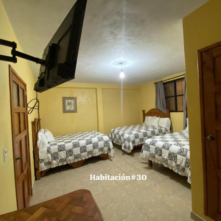 Hotel planetario - Family Room - 1