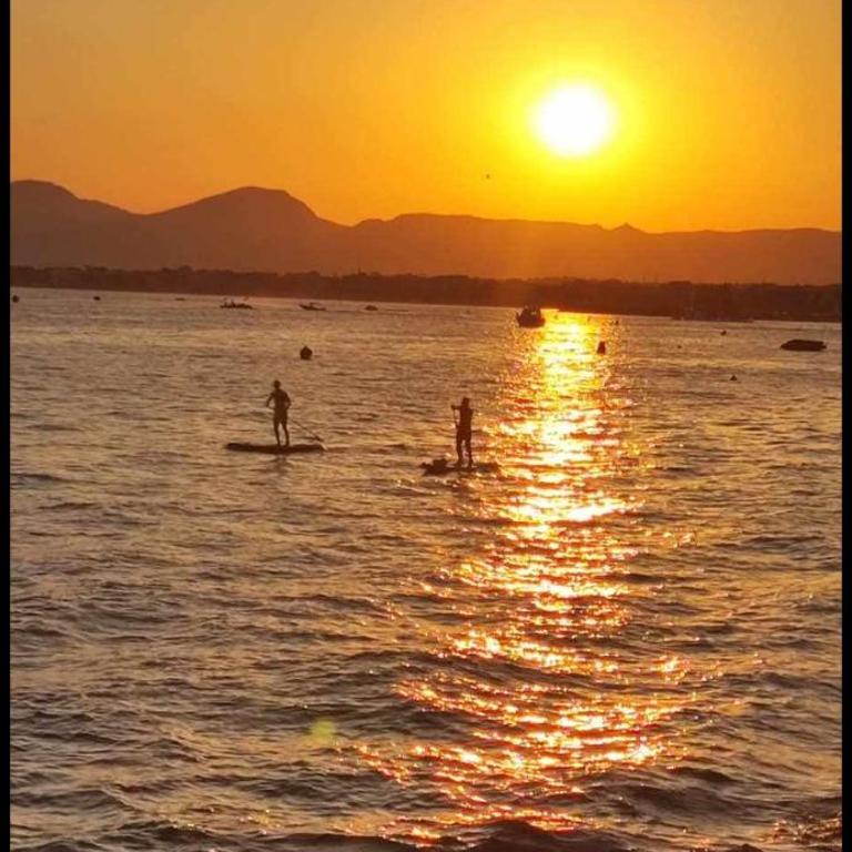 a 10 metres de la plage T2 avec clim Internet et Parking Gratuit devant Residence face a la Mer - Appartement 1 Chambre - 1