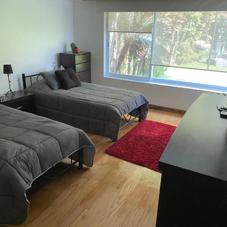 Residencia Lago, Exquisito JARDÍN Maduro 10pp - Villa - 11