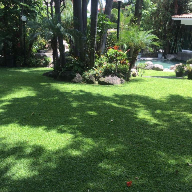Residencia Lago, Exquisito JARDÍN Maduro 10pp - Villa - 10