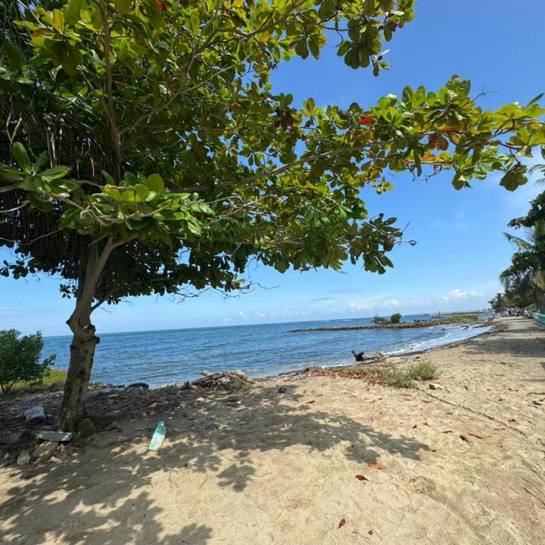 Magico Apartamento Frente al Mar 3 Habitaciones TR61 - Three-Bedroom Apartment - 56
