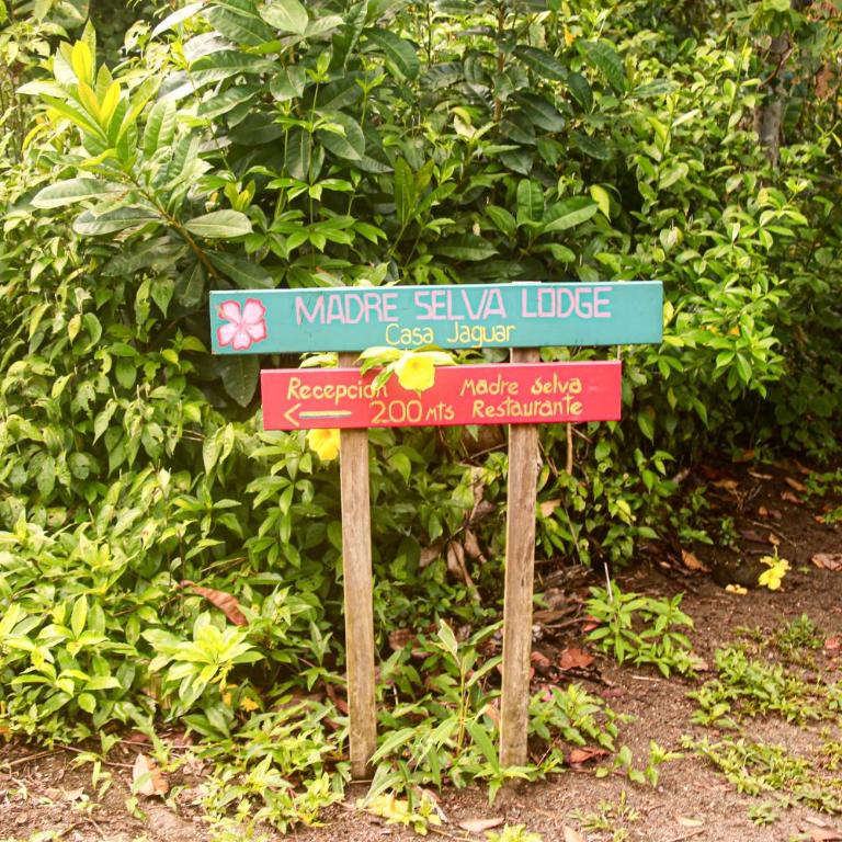 Madre Selva Eco Lodge - Double or Twin Room with Terrace - 5