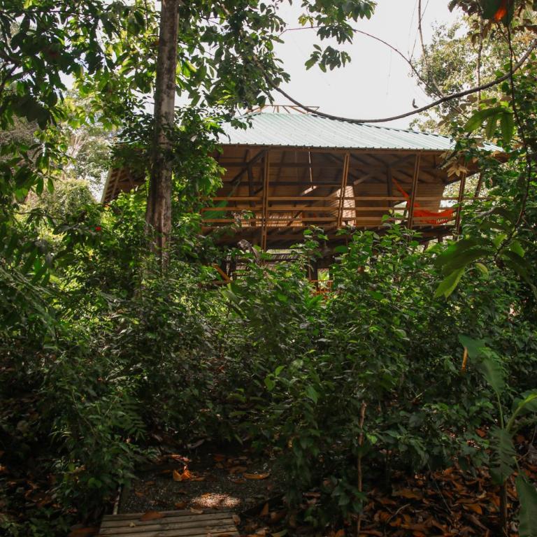 Madre Selva Eco Lodge - Double or Twin Room with Terrace - 1