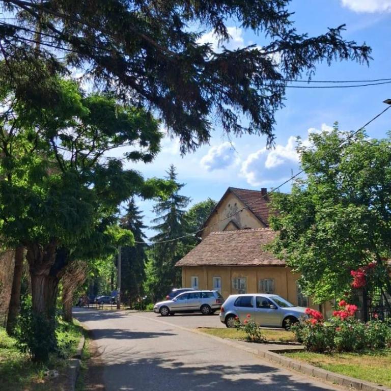 Apartman Vila Zdravlje - Apartman sa 2 Spavaće Sobe - 14