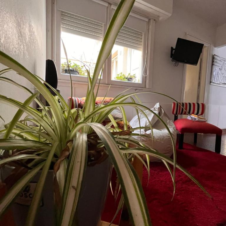 Departamento de Olga - Apartamento de 1 dormitorio - 21
