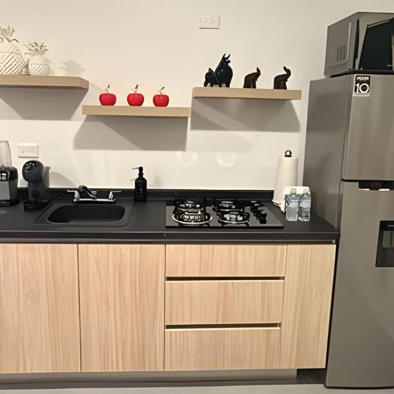 Moderno Depto. Centrico/parking - Apartamento - 29
