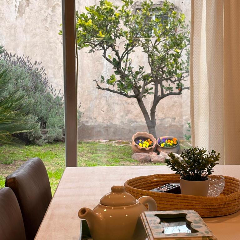 Rancho nuevo - Casa con 1 dormitorio - 11