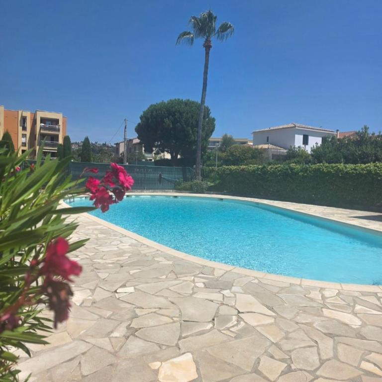 Cozy studio with pool, close to the sea - Appartement 1 Chambre - 3