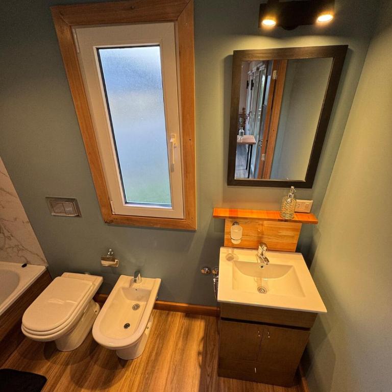 LANÍN Tiny House - One-Bedroom Chalet - 14
