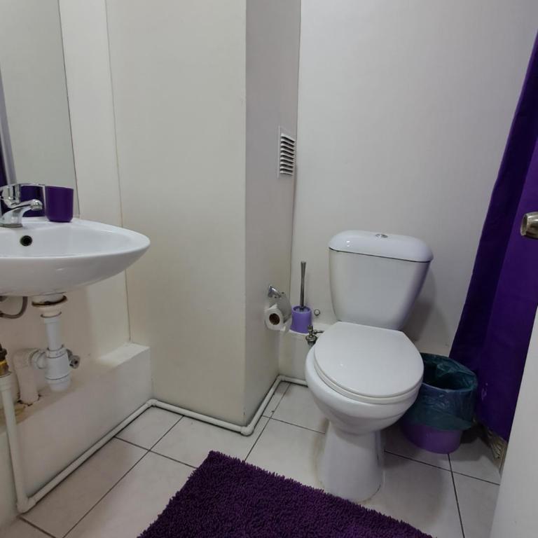 Apartamento equipado con cocina, wifi, baño l Movistar Arenas, Fantasilandia, Santiago centro - One-Bedroom Apartment - 5