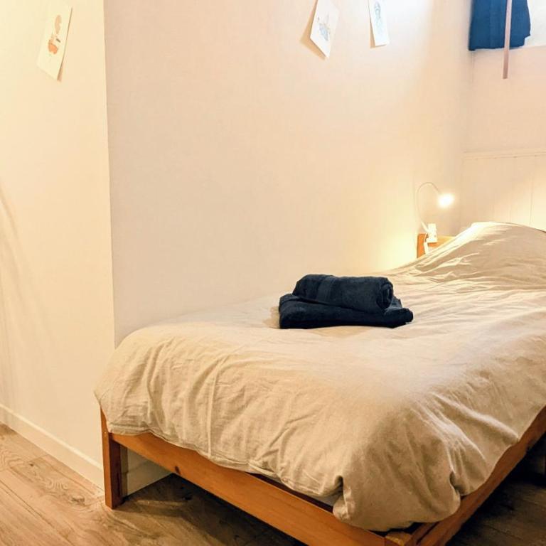 Nouveau ! LE PLATANE, appartement 2 chambres, Centre Historique de Vannes -1 lit 160x200 et 2 lits 90x190 - Appartement 2 Chambres - 12