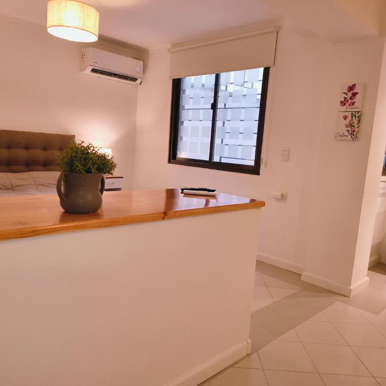 Departamento céntrico deluxe - Deluxe Apartment - 17