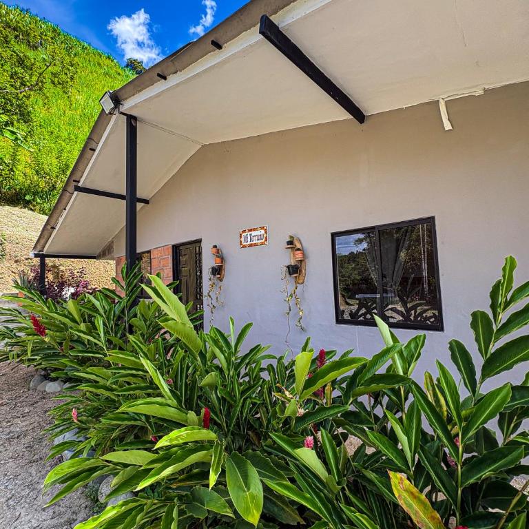 Finca Mi Terruño - Casa de 5 dormitorios - 81