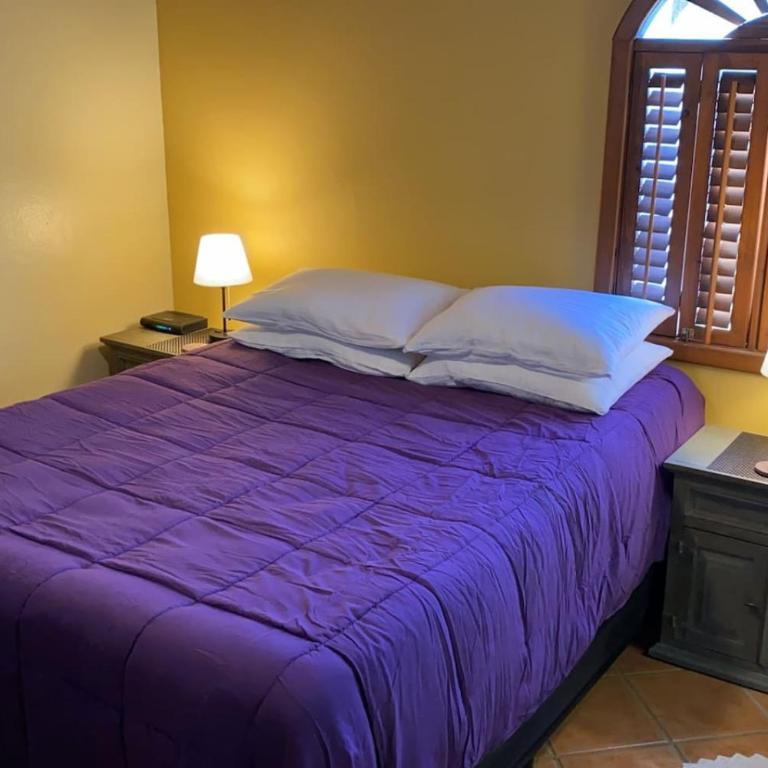 Loft with rooftop deck in the Malecon - Unit #206 - Loft - 11
