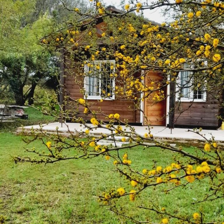El Tropezon cabaña - Casa con 1 dormitorio - 6