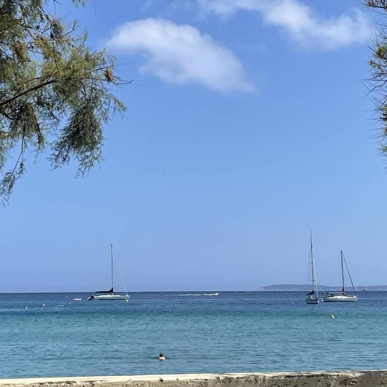 Appartement vue mer, climatisation - 4 pers. - FR-1-251-956 - Appartement - 9