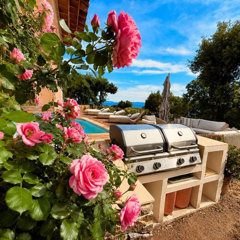 Villa vue mer, 14 pers. - FR-1-900-7 - Maison de Vacances - 12