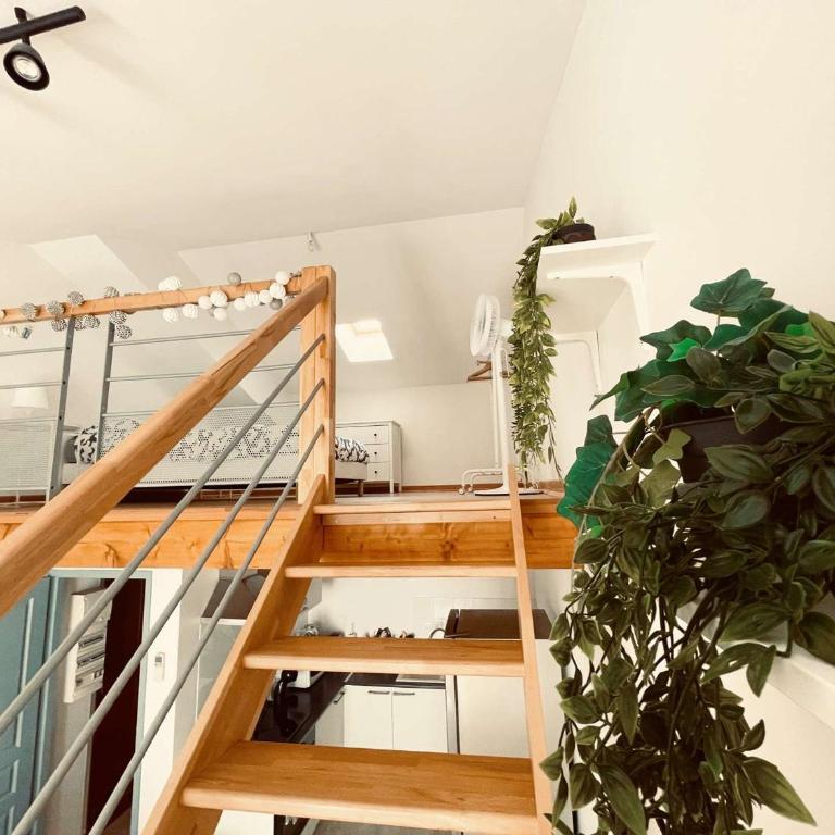 Appartement centre-ville - 4 pers. - FR-1-900-6 - Appartement - 9