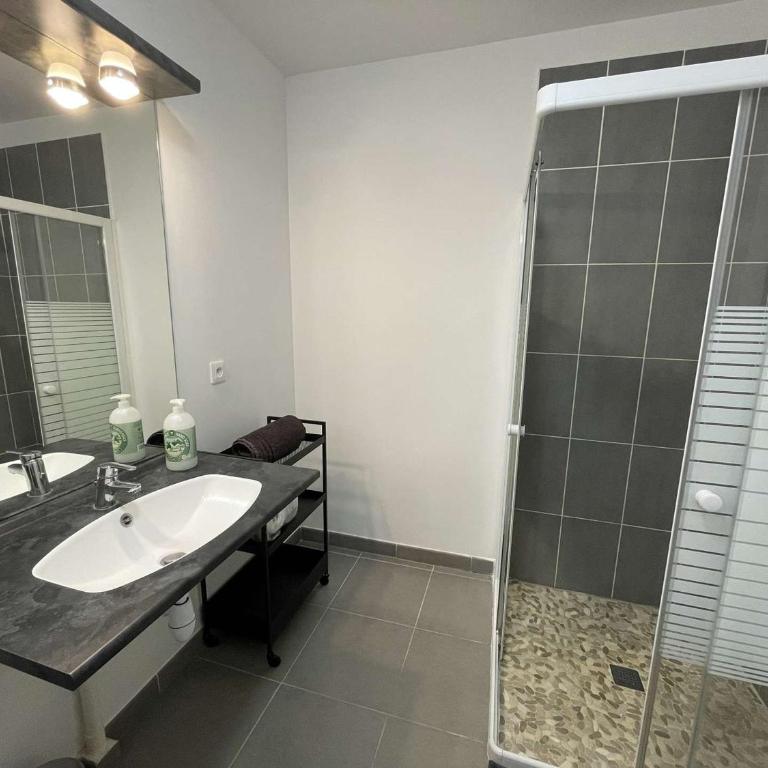 Appartement T2 avec piscine et clim - logement spacieux - FR-1-900-9 - Appartement - 5