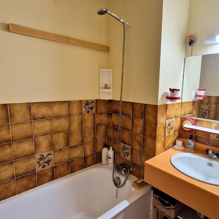 Studio, animaux admis, balcon sud - 6 pers. - FR-1-393-197 - Studio - 7