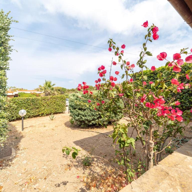 Villa Barbarossa - Stintino - Villa - 3