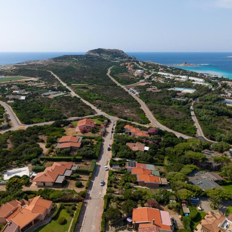 Villa Barbarossa - Stintino - Villa - 5