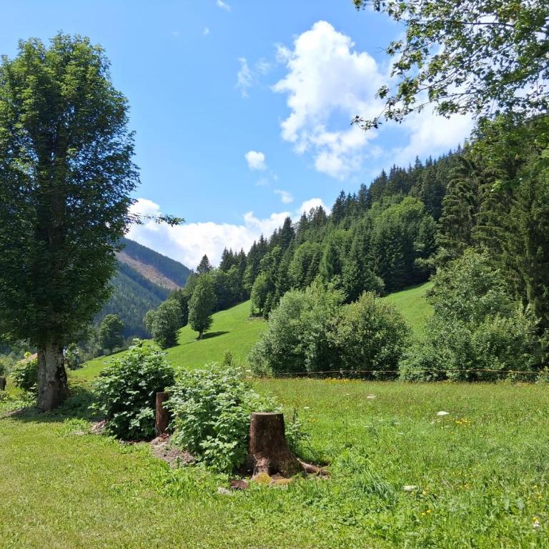 Sublehnhäusl - Apartment mit 2 Schlafzimmern - 5